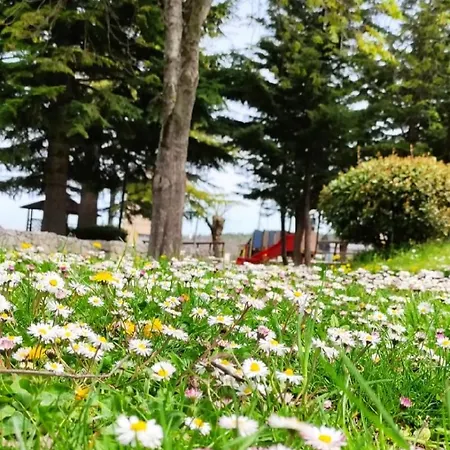 A Casa Di Zia Maly Apartmán *