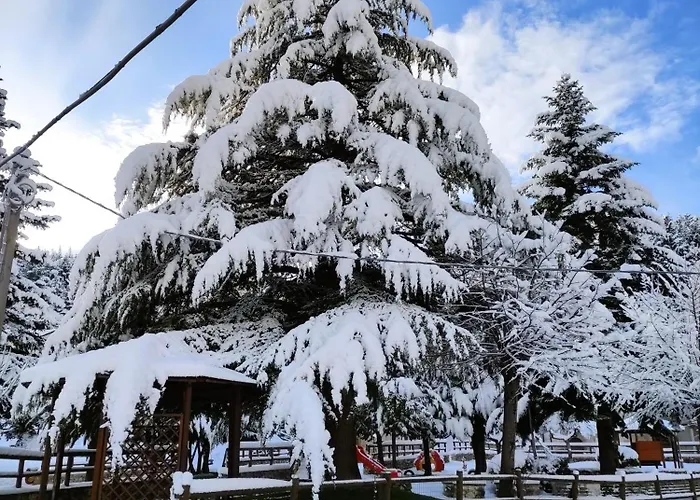 A Casa Di Zia Maly Apartamento *